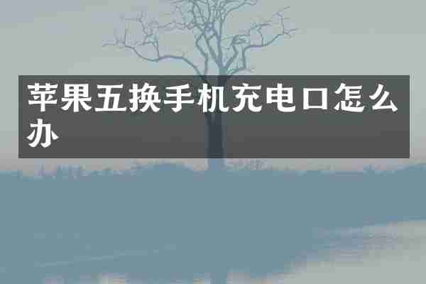 苹果五换手机充电口怎么办