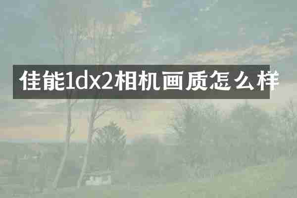佳能1dx2相机画质怎么样