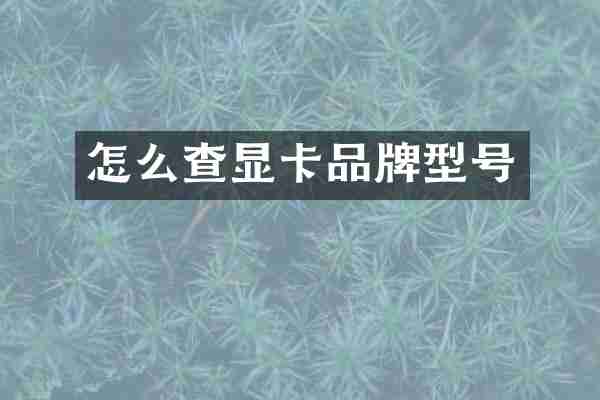 怎么查显卡品牌型号