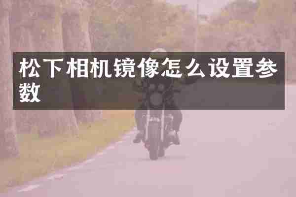 松下相机镜像怎么设置参数