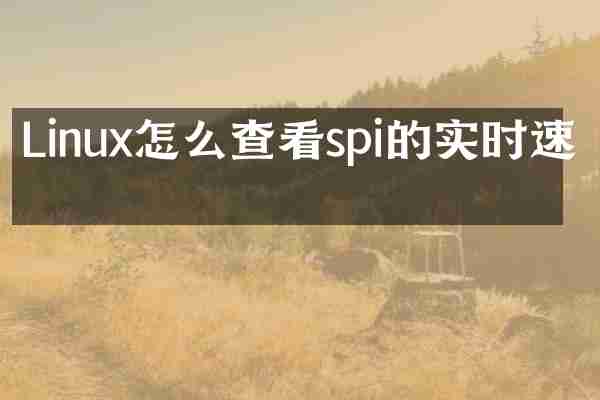 Linux怎么查看spi的实时速率
