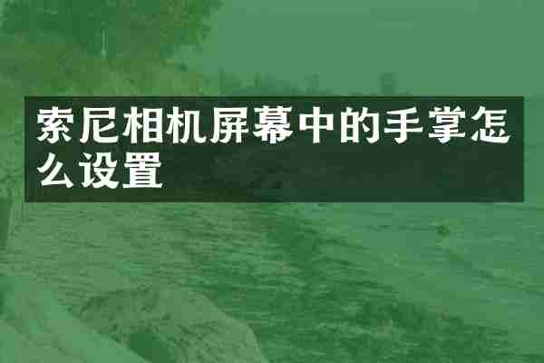 索尼相机屏幕中的手掌怎么设置