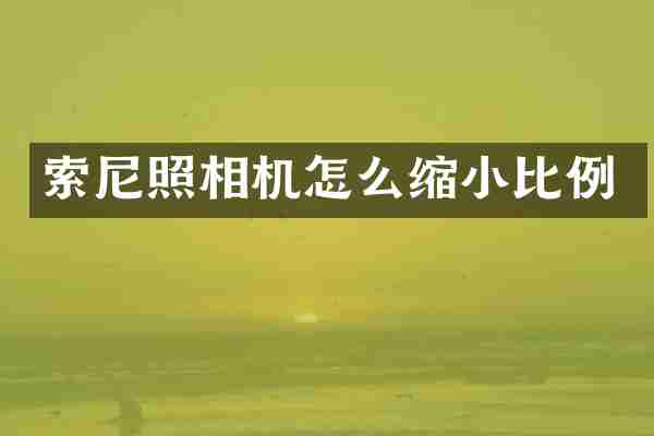 索尼照相机怎么缩小比例