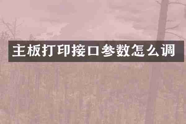 主板打印接口参数怎么调