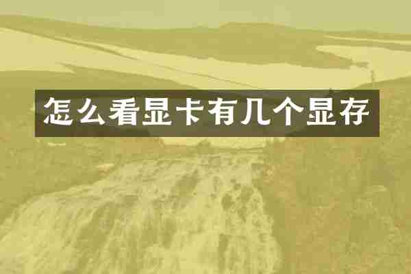 怎么看显卡有几个显存
