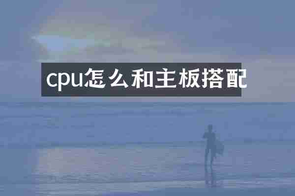 cpu怎么和主板搭配