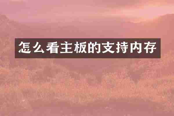怎么看主板的支持内存