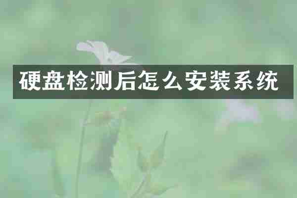 硬盘检测后怎么安装系统