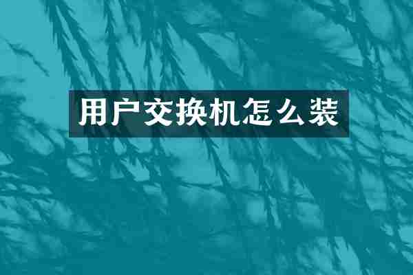 用户交换机怎么装