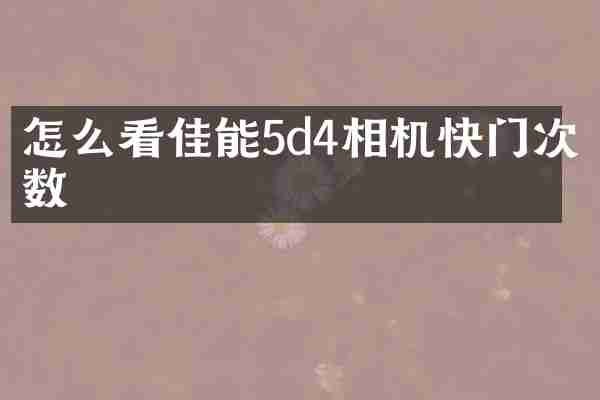 怎么看佳能5d4相机快门次数