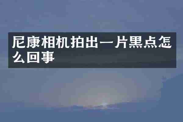 尼康相机拍出一片黑点怎么回事
