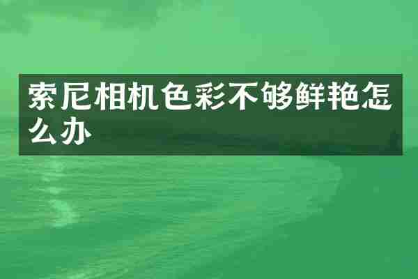 索尼相机色彩不够鲜艳怎么办