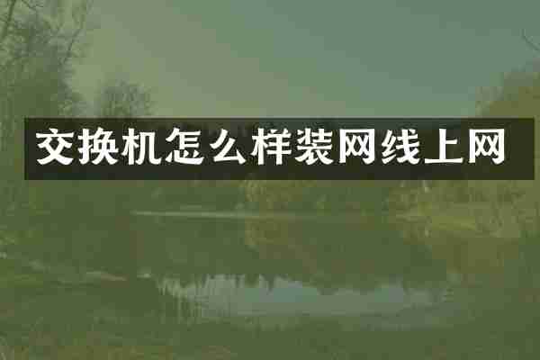 交换机怎么样装网线上网