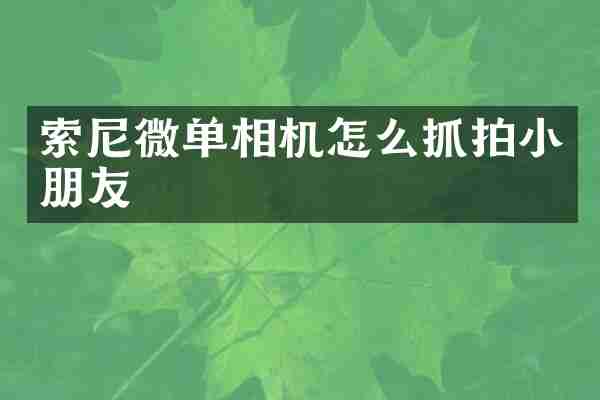 索尼微单相机怎么抓拍小朋友