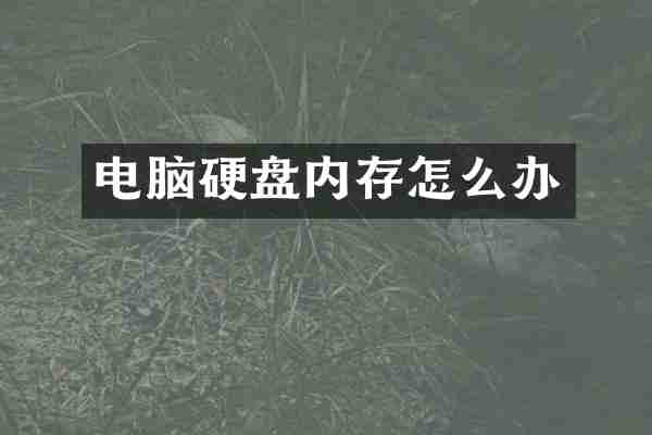 电脑硬盘内存怎么办