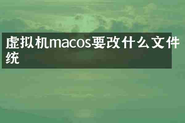 虚拟机macos要改什么文件系统