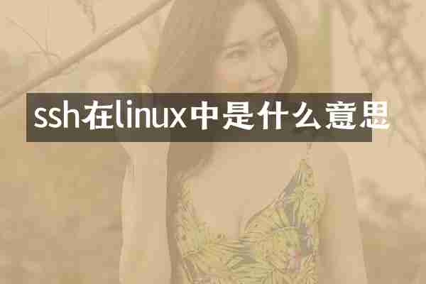 ssh在linux中是什么意思