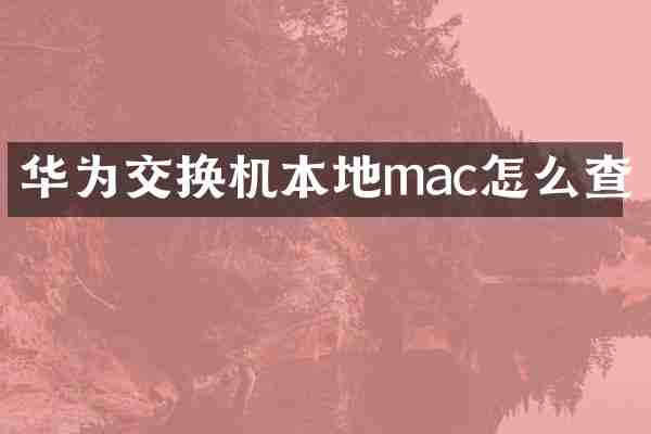 华为交换机本地mac怎么查