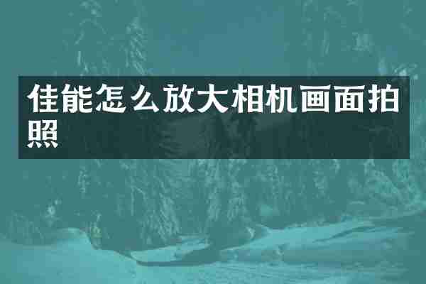 佳能怎么放大相机画面拍照