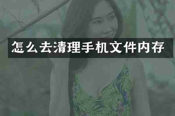 怎么去清理手机文件内存