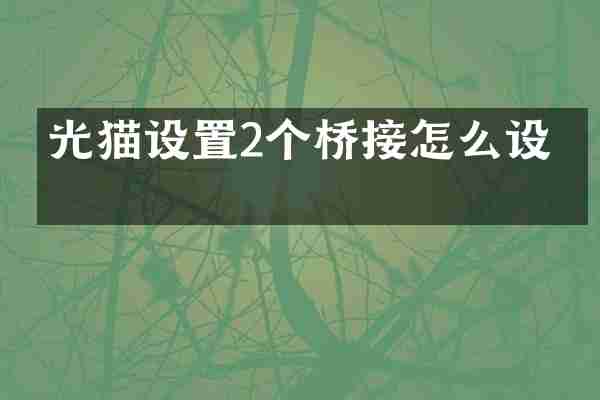 光猫设置2个桥接怎么设置