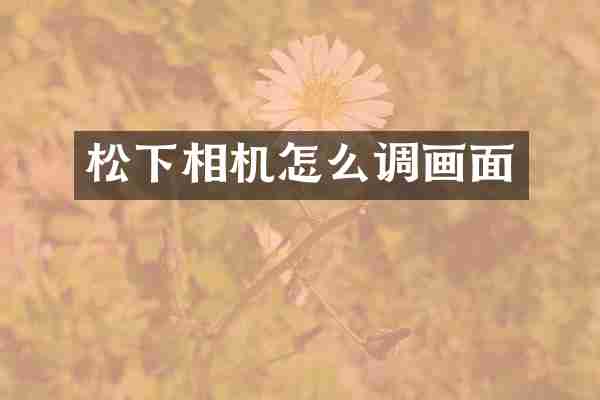 松下相机怎么调画面