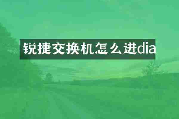 锐捷交换机怎么进dia