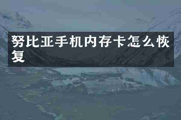 努比亚手机内存卡怎么恢复