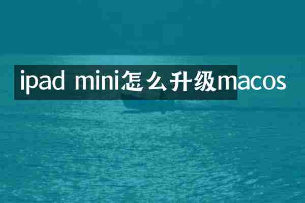 ipad mini怎么升级macos