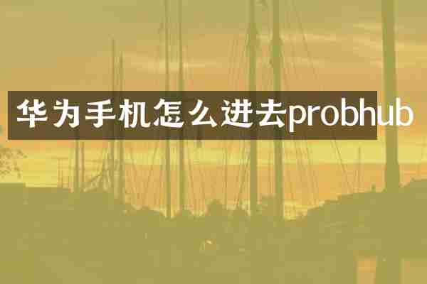 华为手机怎么进去probhub