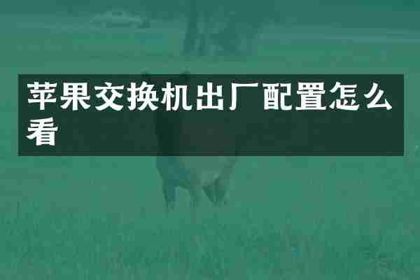 苹果交换机出厂配置怎么看