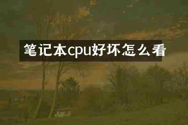 笔记本cpu好坏怎么看
