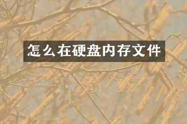 怎么在硬盘内存文件