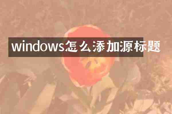 windows怎么添加源标题