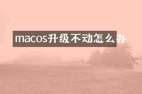 macos升级不动怎么办