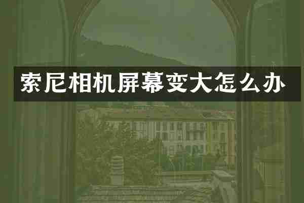 索尼相机屏幕变大怎么办