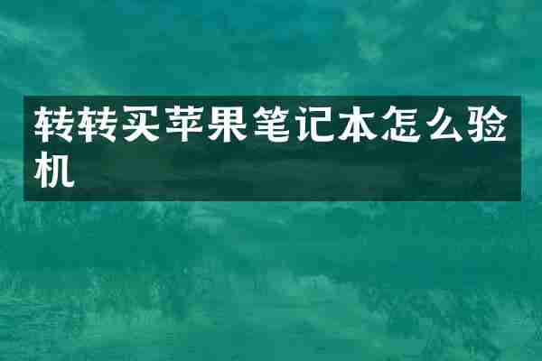 转转买苹果笔记本怎么验机