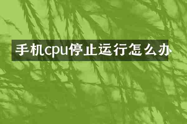 手机cpu停止运行怎么办