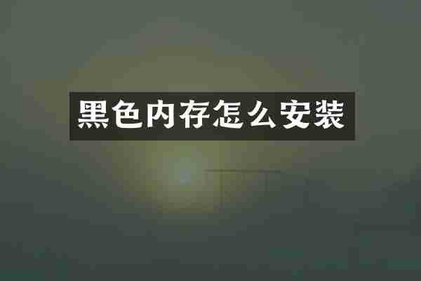 黑色内存怎么安装