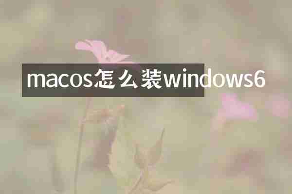 macos怎么装windows6