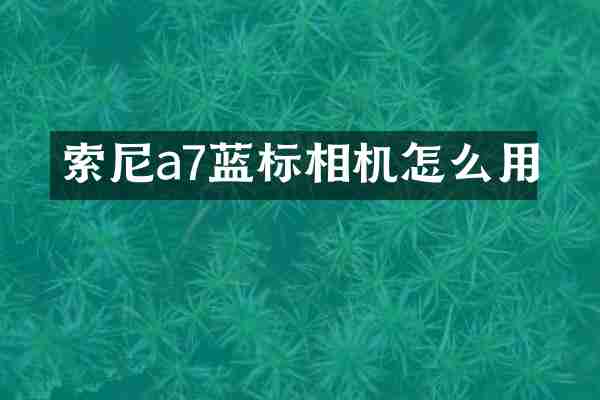 索尼a7蓝标相机怎么用