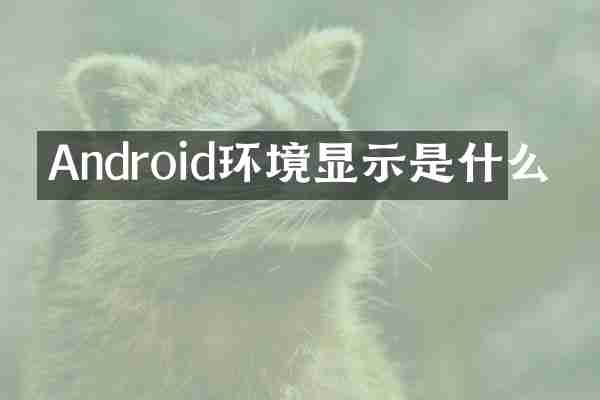 Android环境显示是什么