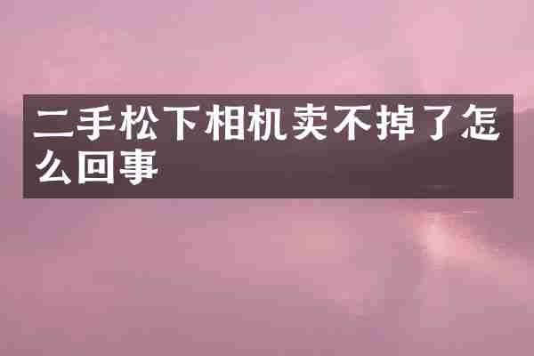 二手松下相机卖不掉了怎么回事