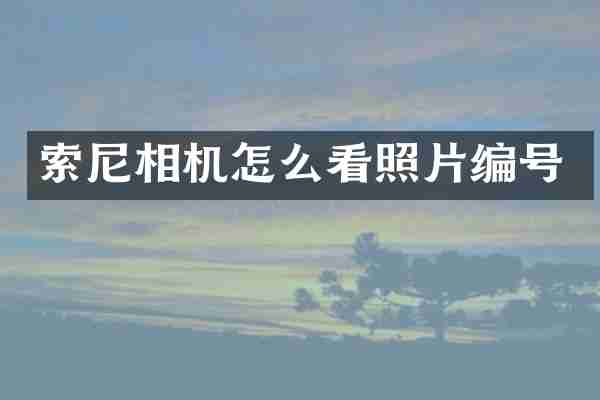 索尼相机怎么看照片编号