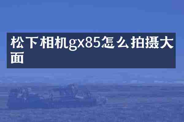 松下相机gx85怎么拍摄大画面