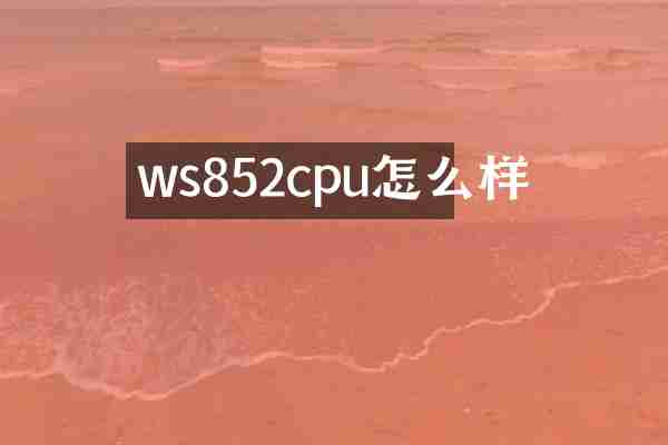 ws852cpu怎么样