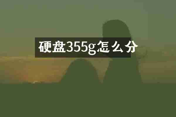 硬盘355g怎么分