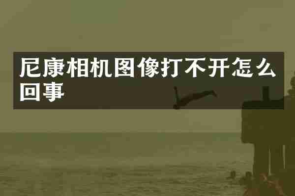尼康相机图像打不开怎么回事