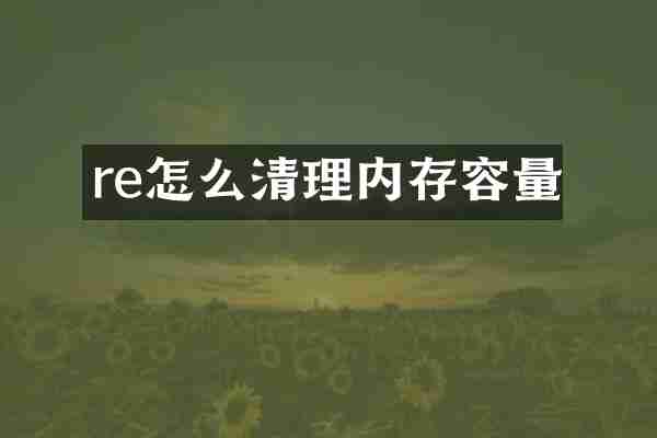 re怎么清理内存容量