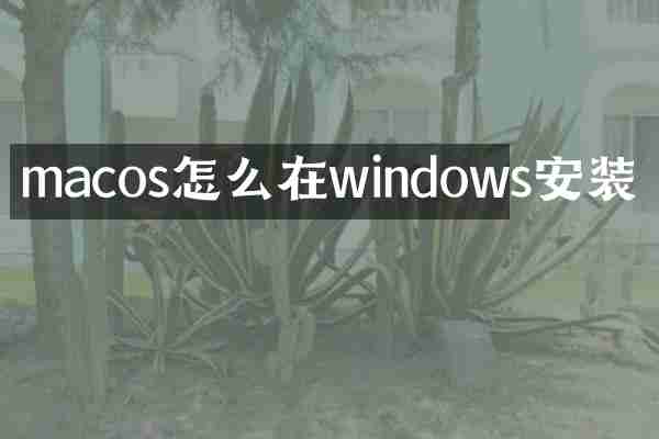macos怎么在windows安装